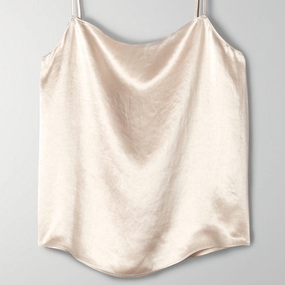 Aritzia Babaton Benji Satin Cami (Denude)